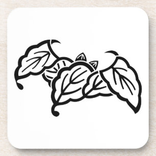 陰蝙蝠柏 COASTER