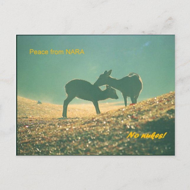 鹿 nara postcard (Front)