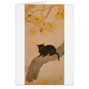 黒猫, 春草 Black Cat, Shunsō