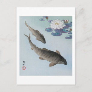 黒鯉, 古邨 Black Carp, Koson, Ukiyo-e Postcard