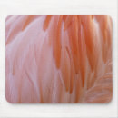 Search for flamingoes mouse mats Abstract