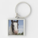 Search for clydesdale key rings Outdoors