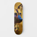 Search for conservation skateboards Wildlife