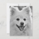 Search for spitz dog postcards Animal