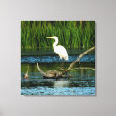 Search for egrets posters Home