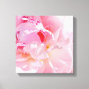 Search for petal canvas prints Photography