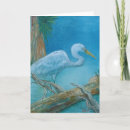 Search for everglades cards Bird