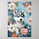 Search for husky posters Cute