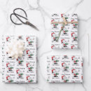 Search for peanuts wrapping paper Snoopy