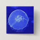 Search for jellyfish badges Ocean