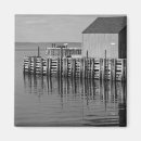 Search for b w magnets Landscape