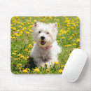 Search for westies mouse mats Puppy