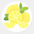 Search for fruit slice stickers Oranges