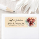 Search for vizsla return address labels Dog