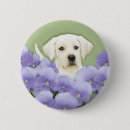 Search for retrievers badges Lab