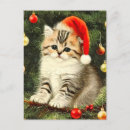 Search for christmas kitten postcards White cat