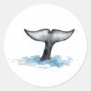 Search for orca stickers Illustration