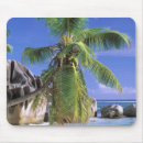Search for clear mouse mats Ocean