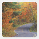 Search for lush foliage stickers Usa