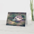 Search for tortoise cards Green