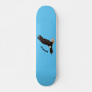 Search for bald skateboards Eagle