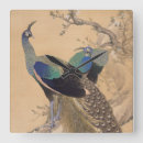 Search for vintage peacock clocks Beautiful
