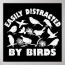 Search for distraction posters Funny