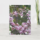 Search for multi region cards Plants