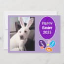 Search for dog easter cards Humour