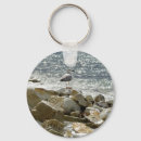Search for seagull key rings Water