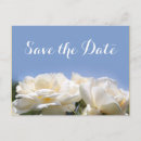 Search for beautiful bride invitations White