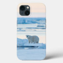 Search for polar bears iphone cases Winter