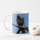 Search for hawks coffee mugs Raptors