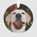 Search for yellow labrador christmas tree decorations Fun