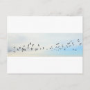 Search for bird flight postcards Nature