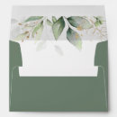 Search for eucalyptus envelopes Green eucalyptus foliage