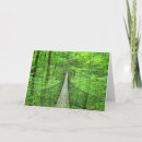 Search for suspense cards Bridge