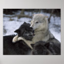 Search for happy dog posters Usa