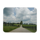 Search for bluegrass magnets Kentucky