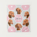 Search for cat collage art Modern