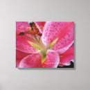 Search for lillies canvas prints Lilies
