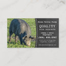 Search for pig farm business cards Hog