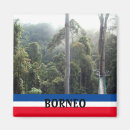 Search for rainforest magnets Jungle