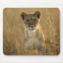 Search for behaviour standard mouse mats Cute