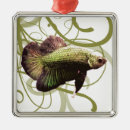 Search for betta fish christmas tree decorations Splendens