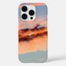 Search for attractive cases Colourful