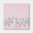 Search for front view magnets Japan