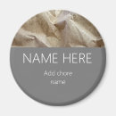 Search for teache magnets For kids