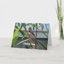 Search for finch cards Bird