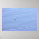 Search for water bubble photography Nature